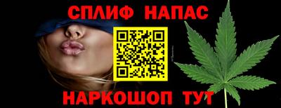 прущие грибы Нальчик