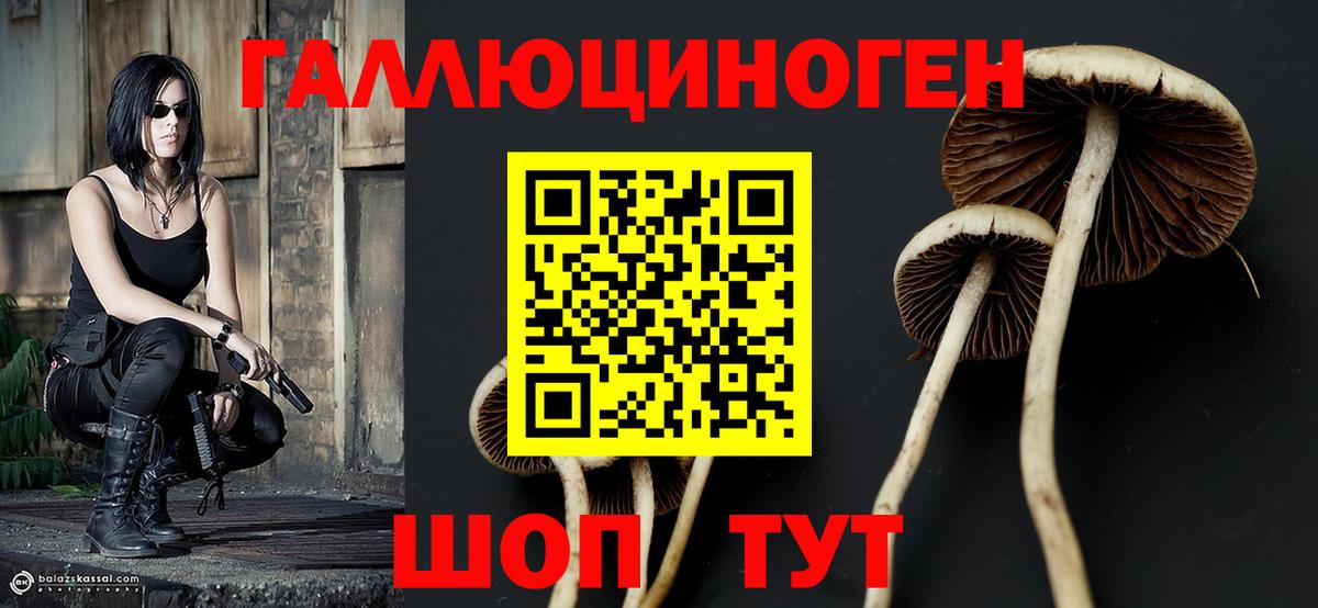 Армавир  Псилоцибиновые грибы прущие грибы  Вход с VPN 